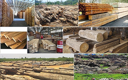 Để đồ gỗ Việt Nam là thương hiệu “nặng ký” trên thị trường thế giới